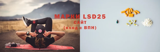 прущие грибы Краснотурьинск