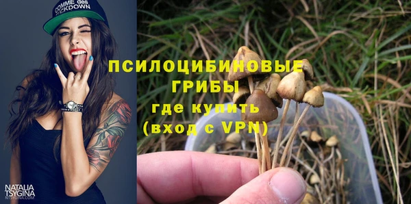 ECSTASY Козловка