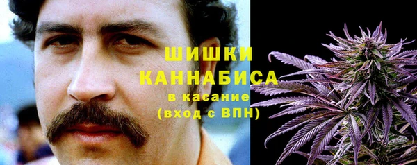тгк Костерёво