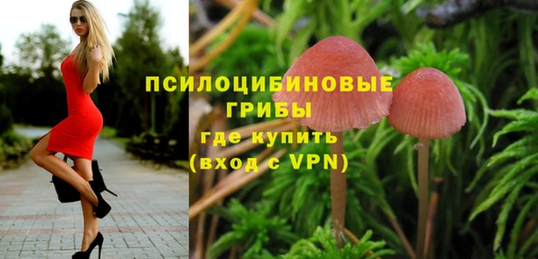 прущие грибы Краснотурьинск